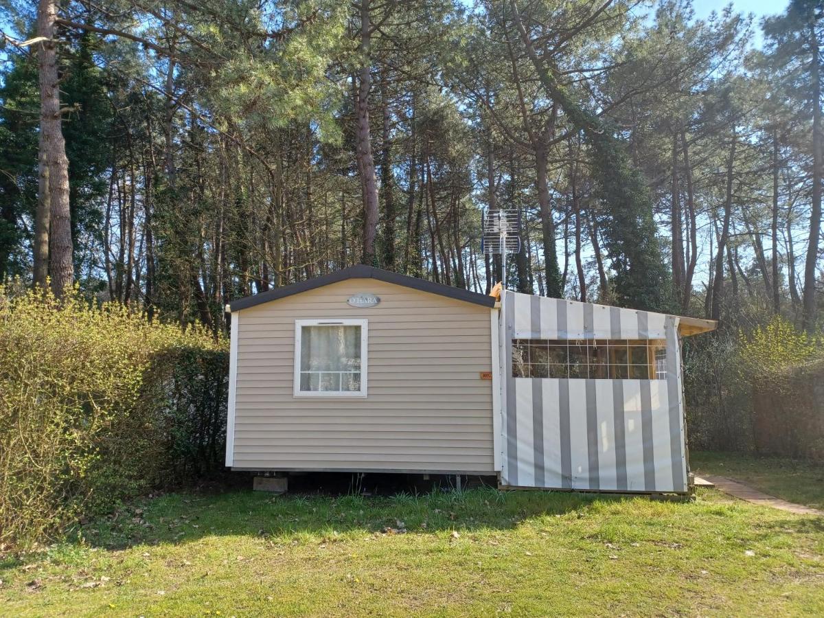 Camping La Dune Blanche Camiers Kültér fotó
