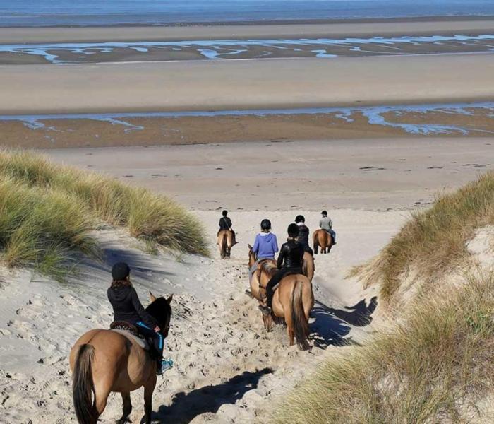 Camping La Dune Blanche Camiers Kültér fotó